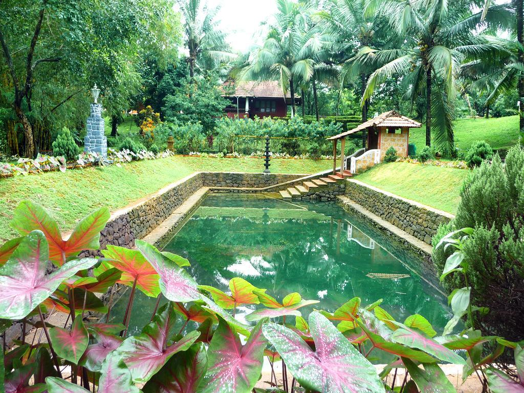 Hotel Soma Birds Lagoon Kotamangalam Exteriér fotografie