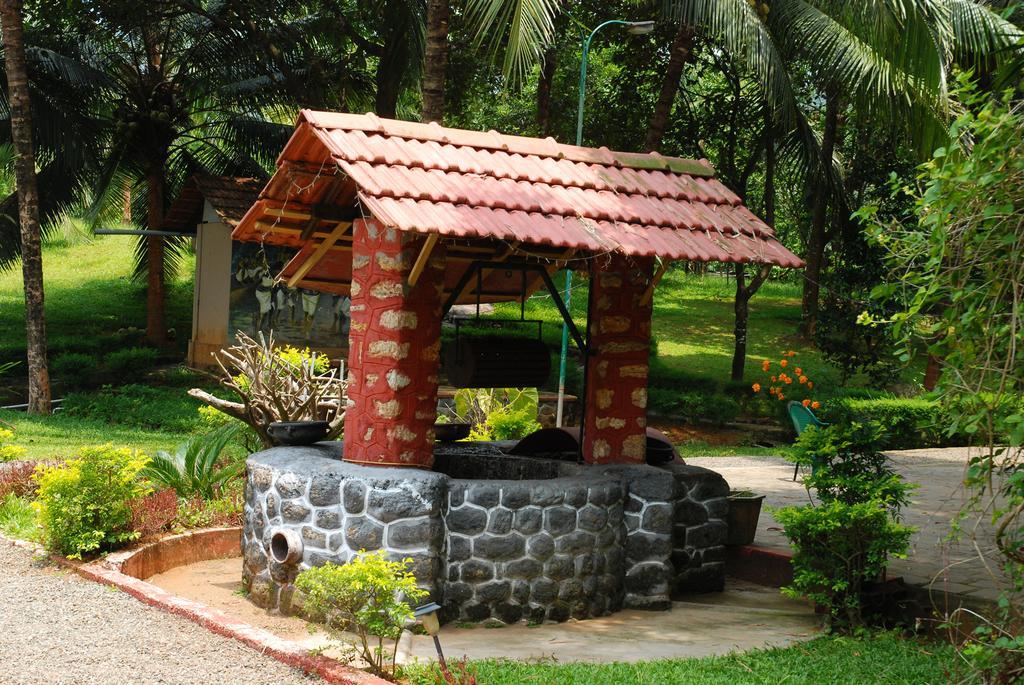 Hotel Soma Birds Lagoon Kotamangalam Exteriér fotografie