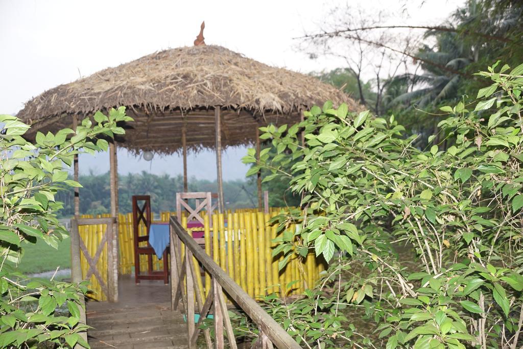 Hotel Soma Birds Lagoon Kotamangalam Exteriér fotografie